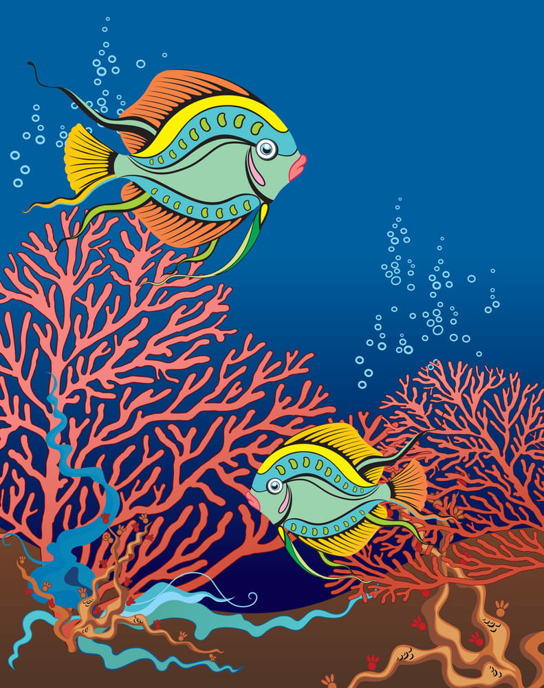 791x1000 Fish Swimming Amongst Coral Vector Free Graphics