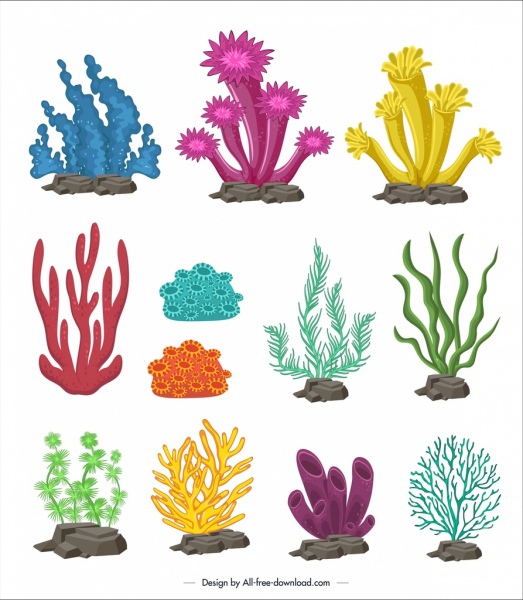 523x600 Marine Design Elements Colorful Coral Icons Free Vector In Adobe