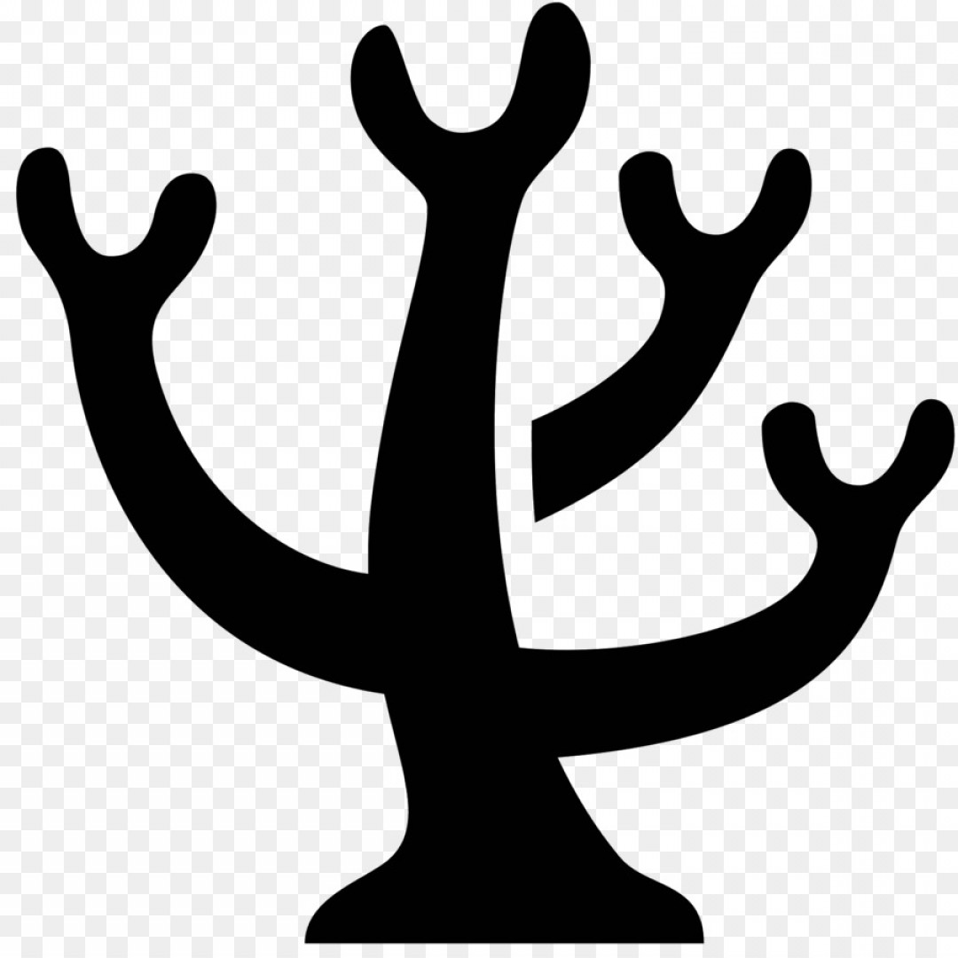 1080x1080 Png Computer Icons Coral Reef Coral Vector Catchsplace