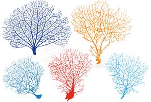 295x200 Sea Fan Corals, Vector Stock Vectors