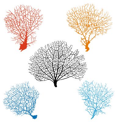 380x400 Sea Fan Corals Set Vector