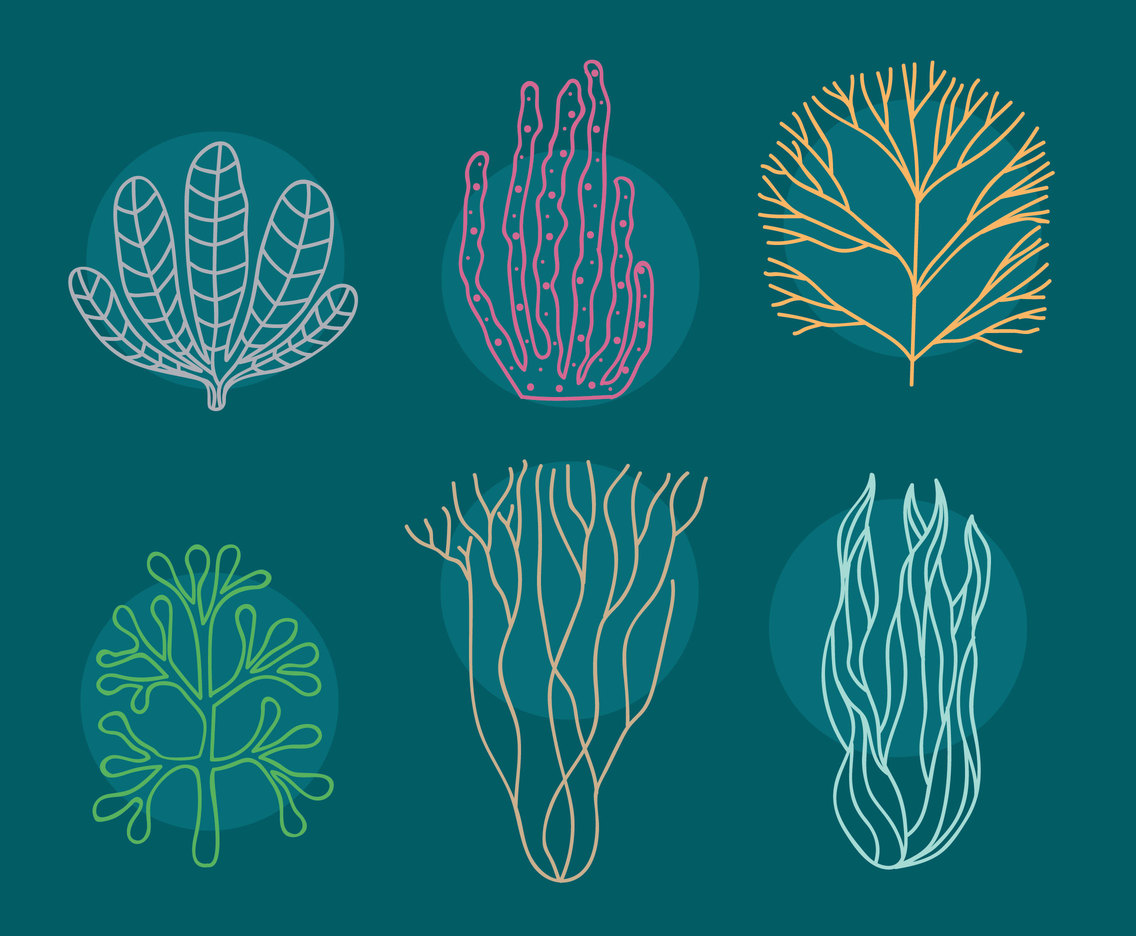1136x936 Seaweed And Coral Vector Set Vector Art Graphics
