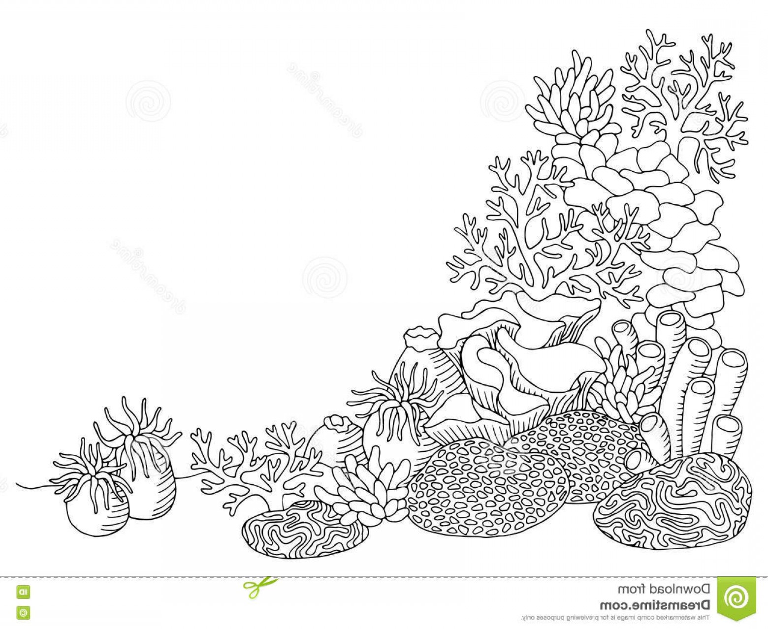 1560x1278 Stock Illustration Coral Sea Graphic Art Black White Underwater