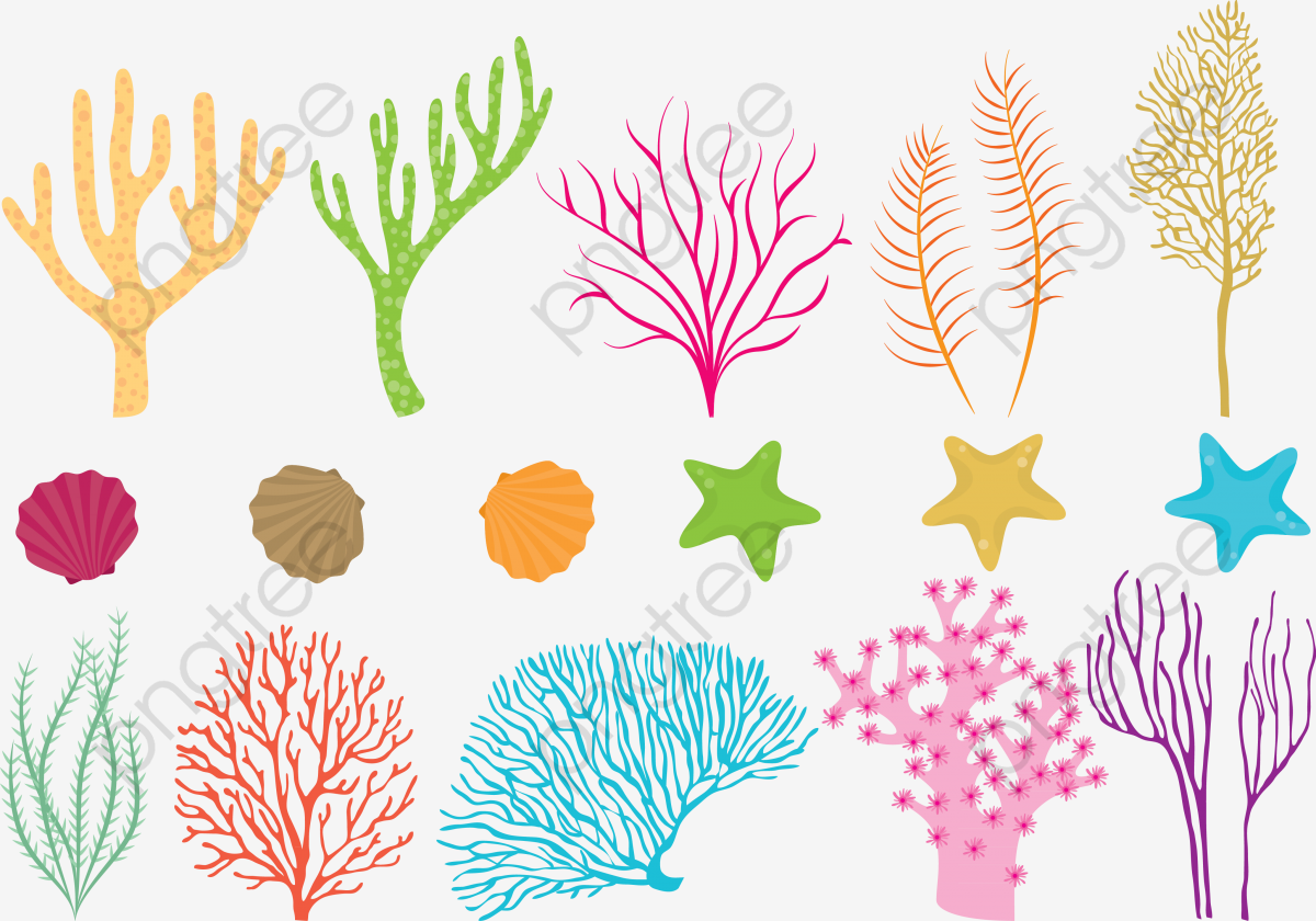 1200x840 Vector Colored Coral, Coral, Purple Coral, Vector Coral Png