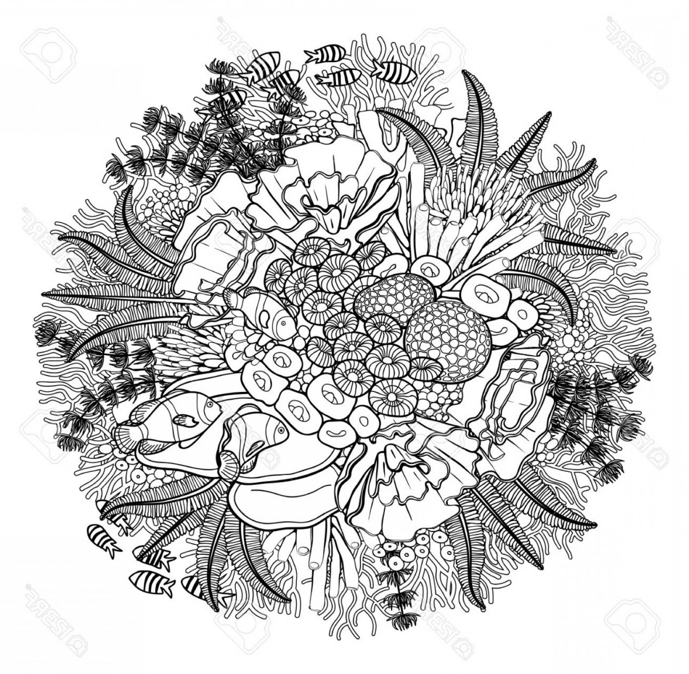 1388x1357 Coral Reef Coloring