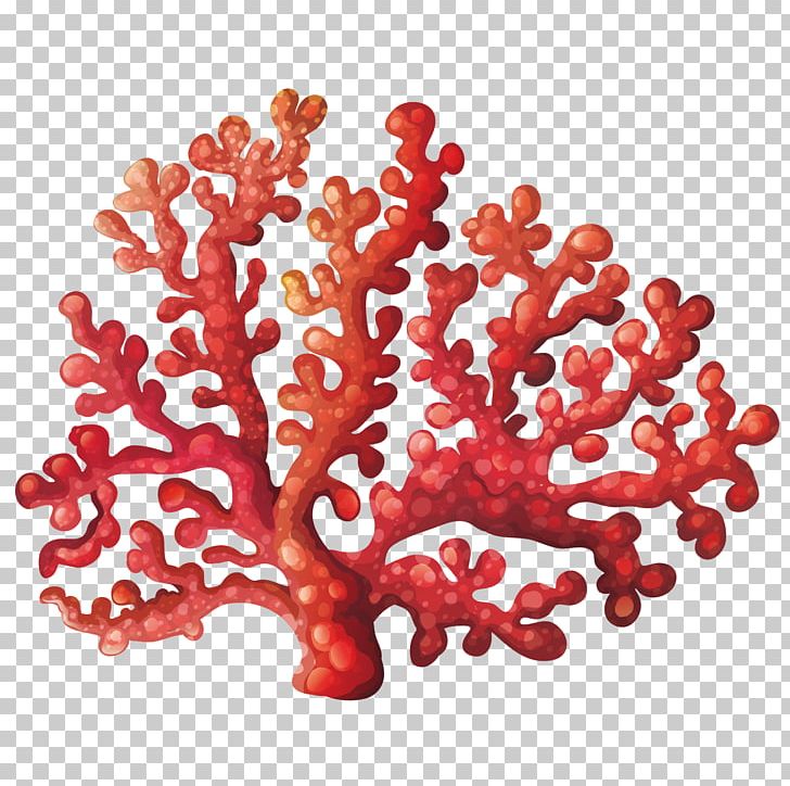728x724 Coral Reef Png, Clipart, Coral, Coral Vector, Decoration, Flower