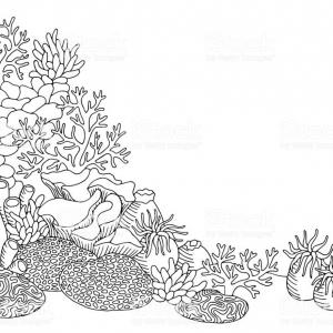 300x300 Coral Sea Graphic Art Black White Underwater Landscape
