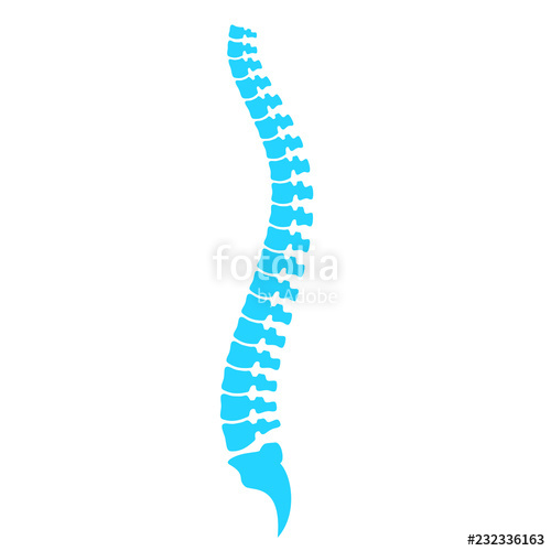 500x500 Spine Cord Vector Icon Stock Image And Royalty Free Vector