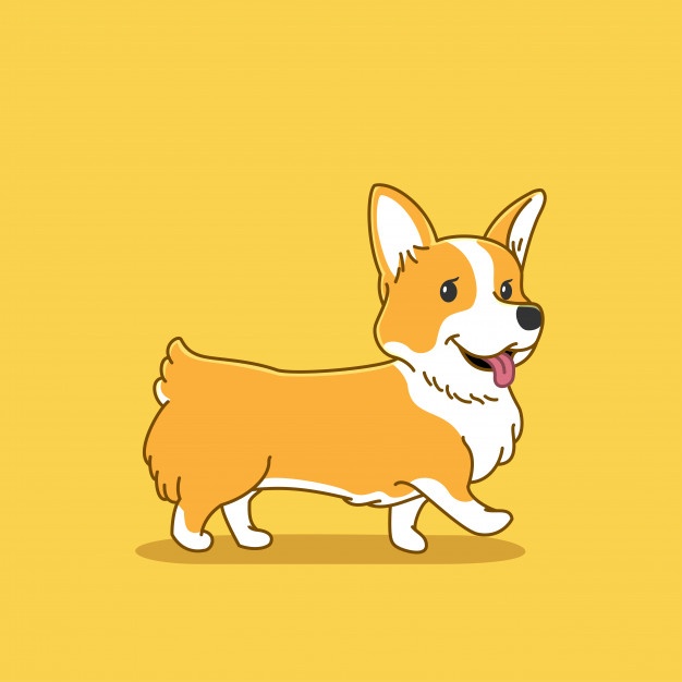 626x626 Corgi Vectors, Photos And Free Download