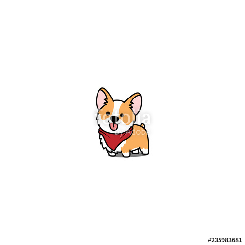 500x500 Cute Corgi Dog Smiling, Vector Illustration Stock Image