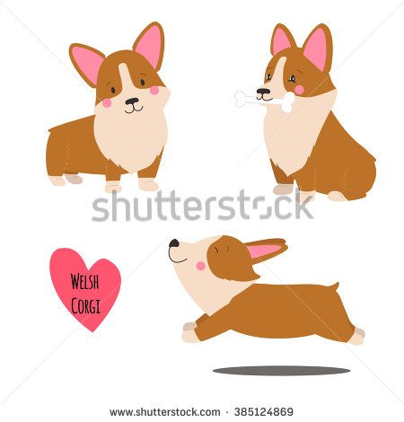 450x470 Cute Welsh Corgi Set In Different Poses Funny Corgi Vector