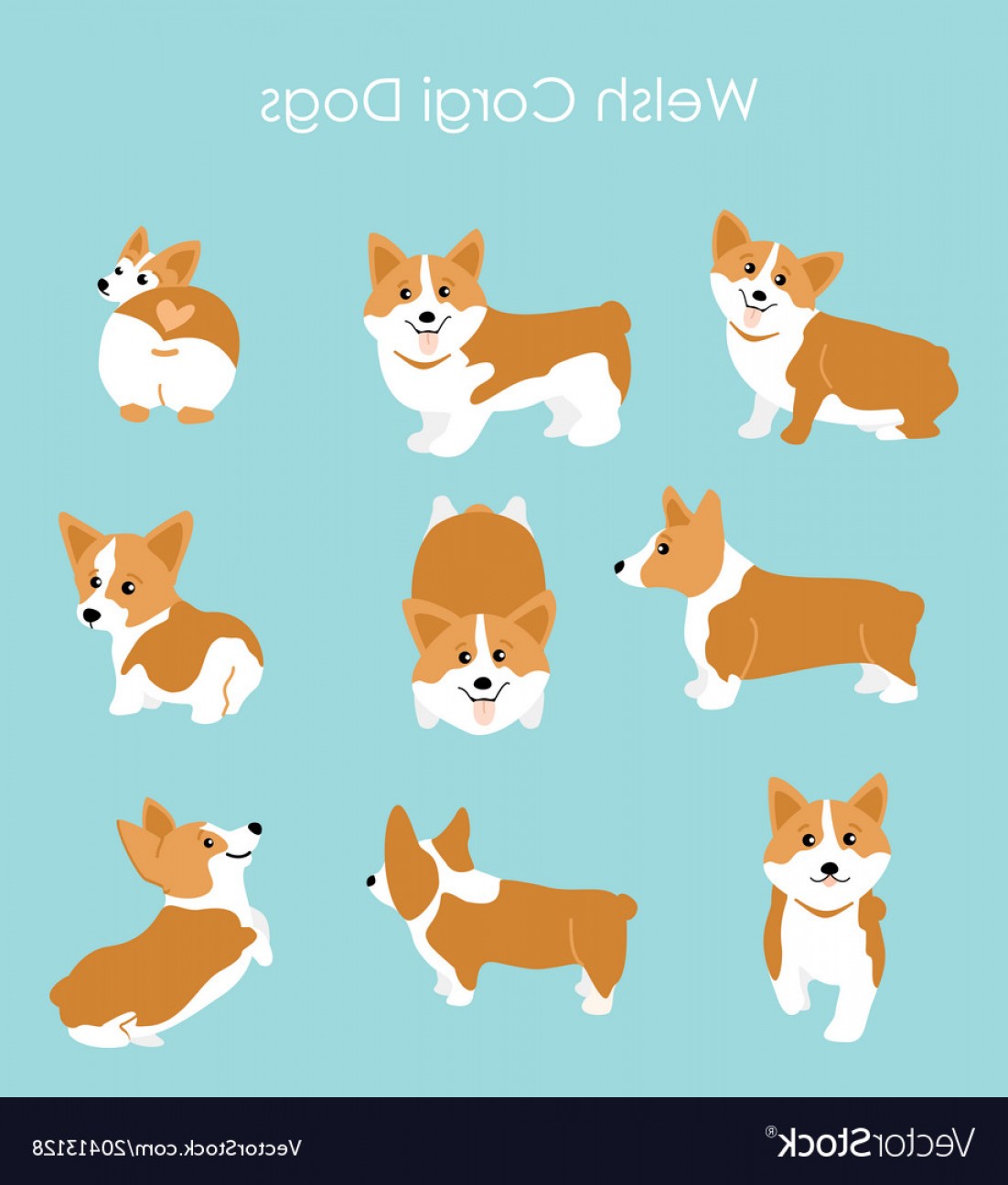 Corgi Vector At Vectorified.com 