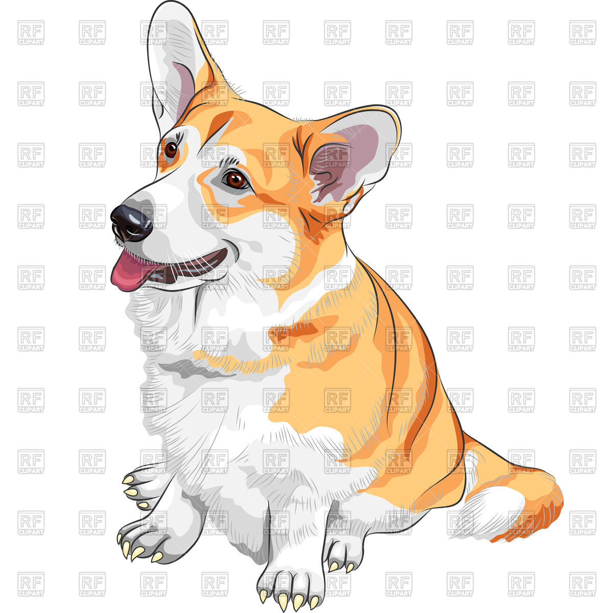1200x1200 Pembroke Welsh Icon Corgi Vector Image Of Plants And Animals