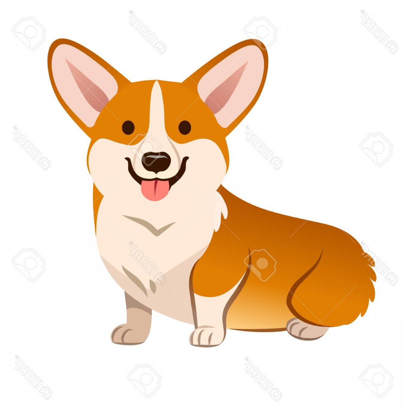 1560x1560 Photostock Vector Corgi Dog Vector Cartoon Illustration Cute