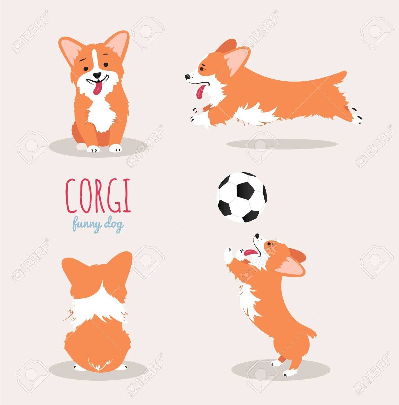 1280x1300 Stock Vector In Donna Corgi Pembroke, Corgi Cartoon, Corgi