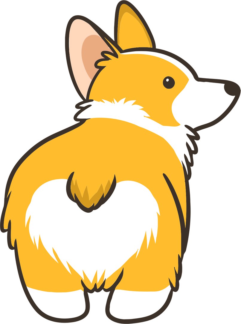 806x1080 Corgi