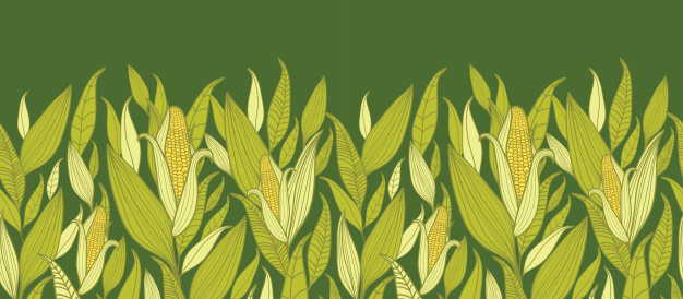 626x274 Corn Field Clipart Free Cliparts Download Images