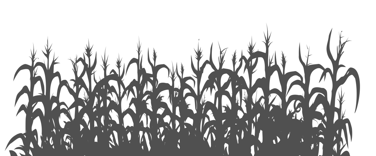 Corn Field Vector At Collection Of Corn Field Vector