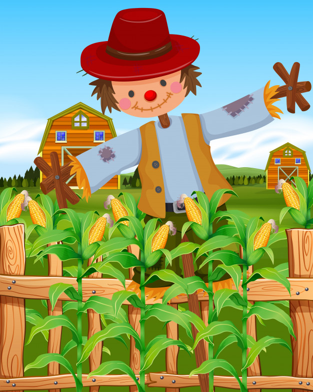 626x783 Scarecrow In The Corn Field Vector Free Download