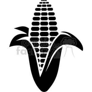 300x300 Black And White Corn On The Cob Clipart Royalty Free Gif