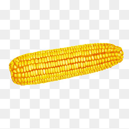 260x261 Download Free Png Corn On The Cob Png, Vector, And Clipart