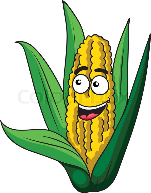 627x800 Fresh Happy Healthy Corn On The Cob Stock Vector Colourbox