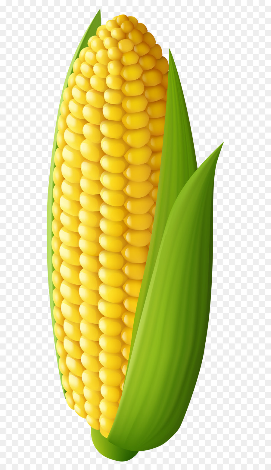 900x1560 Huge Collection Of 'corn On The Cob Clipart' Download More Than