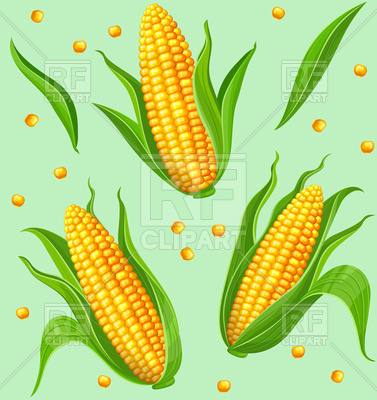 377x400 Seamless Pattern With Yellow Corn Cobs And Green Leaves Vector