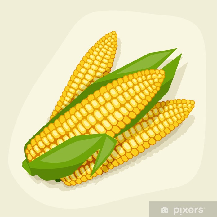 700x700 Stylized Vector Illustration Of Fresh Ripe Corn Cobs Sticker