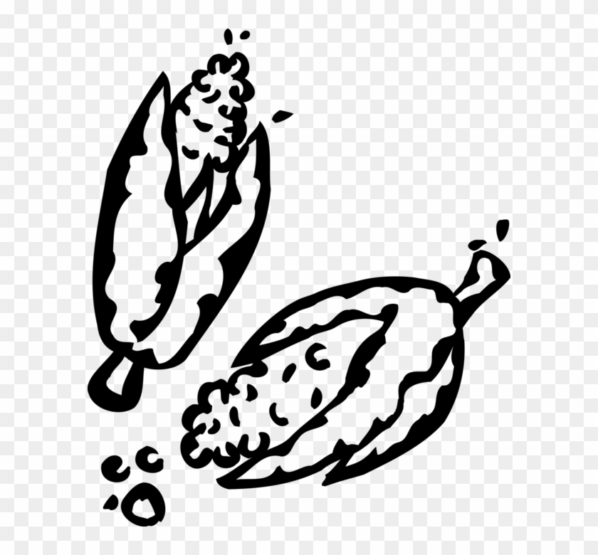 840x780 Vector Illustration Of Maize Corn On The Cob Grain