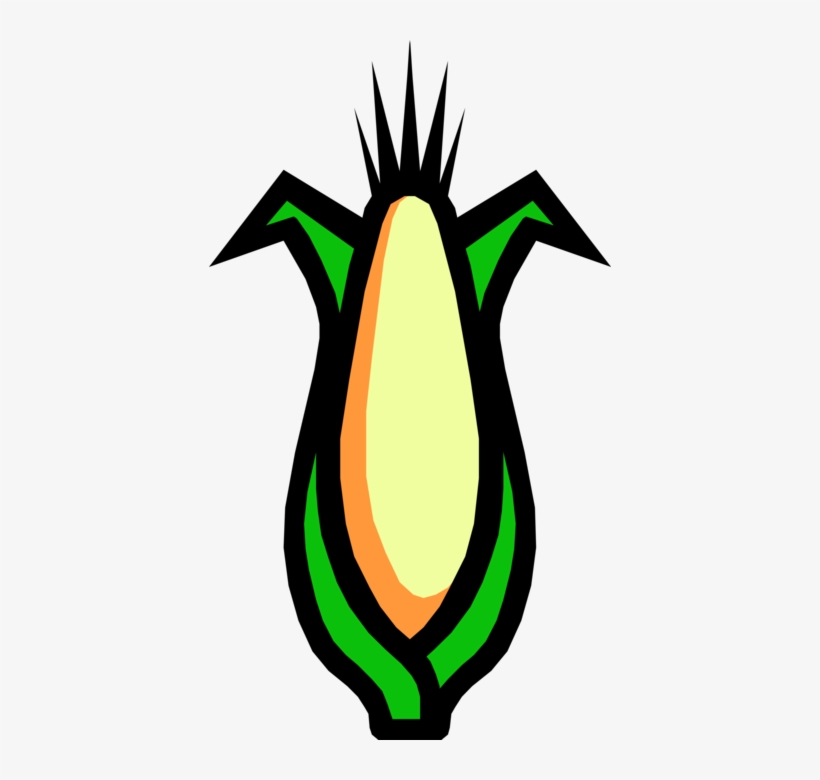 820x780 Vector Illustration Of Sweet Corn On The Cob Grain Transparent Png