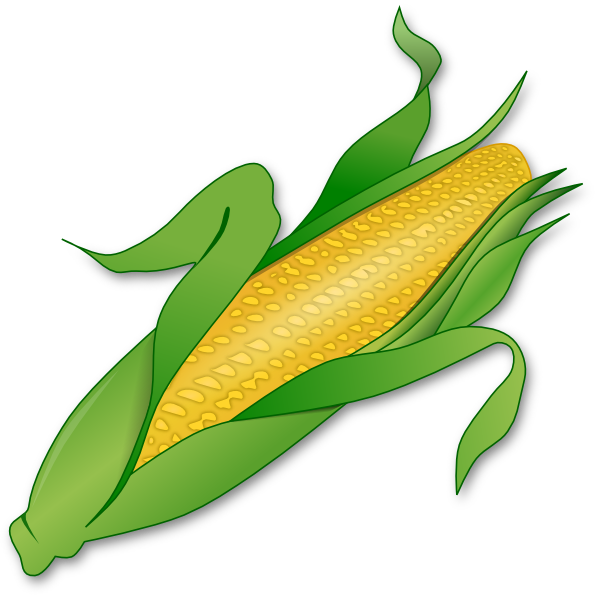 600x595 Corn Clipart Corn Clip Art