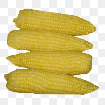 360x360 Corn On The Cob Png, Vector, And Clipart With Transparent
