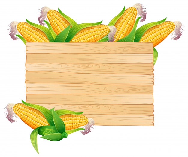 626x525 Corn Vectors, Photos And Free Download