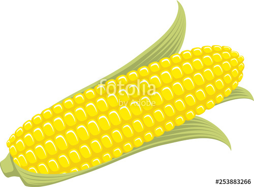 500x369 Corn On The Cob Sweetcorn With Leaves, Flat Graphic Vector