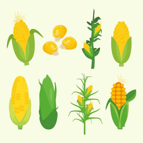 490x490 Free Corn Plant Vector
