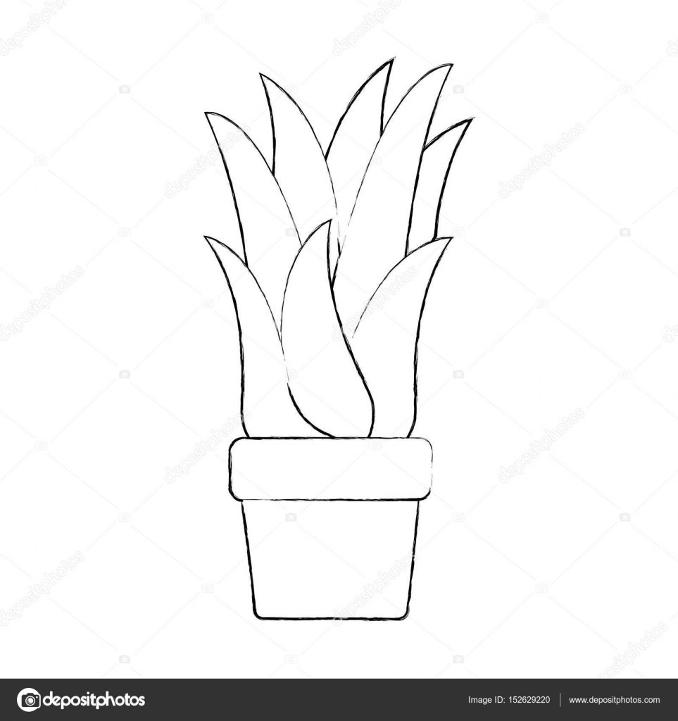 963x1024 Huge Collection Of 'corn Plant Silhouette' Download More Than