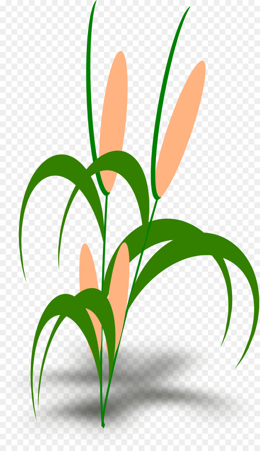 900x1560 Borders Clip Art Vector Graphics Computer Icons Corn