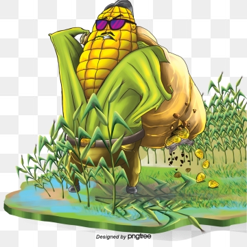 360x360 Corn Plant Png, Vector, And Clipart With Transparent