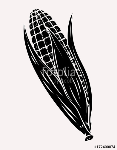 392x500 Corn Vector Silhouette Stock Image And Royalty Free Vector