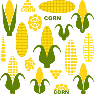 368x368 Corn Free Vector Download