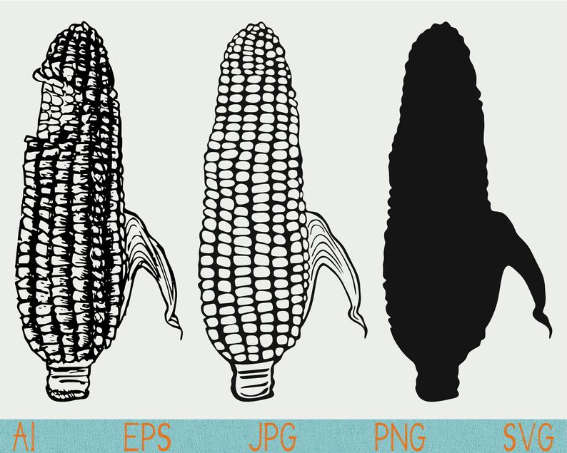 794x635 Corn Svgsilhouettepngvinylepsdigital Etsy