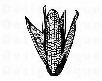340x270 Corn Vector Etsy