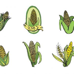 300x300 Free Ear Of Corn Vector Series Hoodamathrun