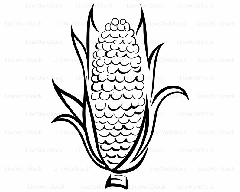 794x635 Huge Collection Of 'corn Silhouette' Download More Than Images