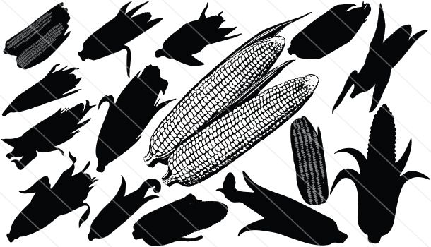610x350 Thanksgiving Corn Silhouette Vector