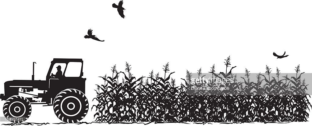 1024x413 Agriculture Silhouette Tractor And Corn Field Ready