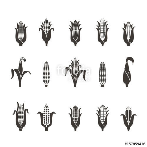 500x500 Corn Icon Black And White Vector Illustration Isolated On White