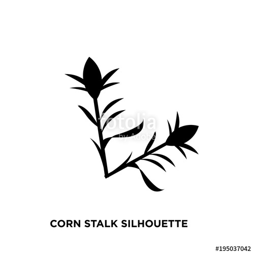 500x500 Corn Stalk Silhouette On White Background Stock Image And Royalty
