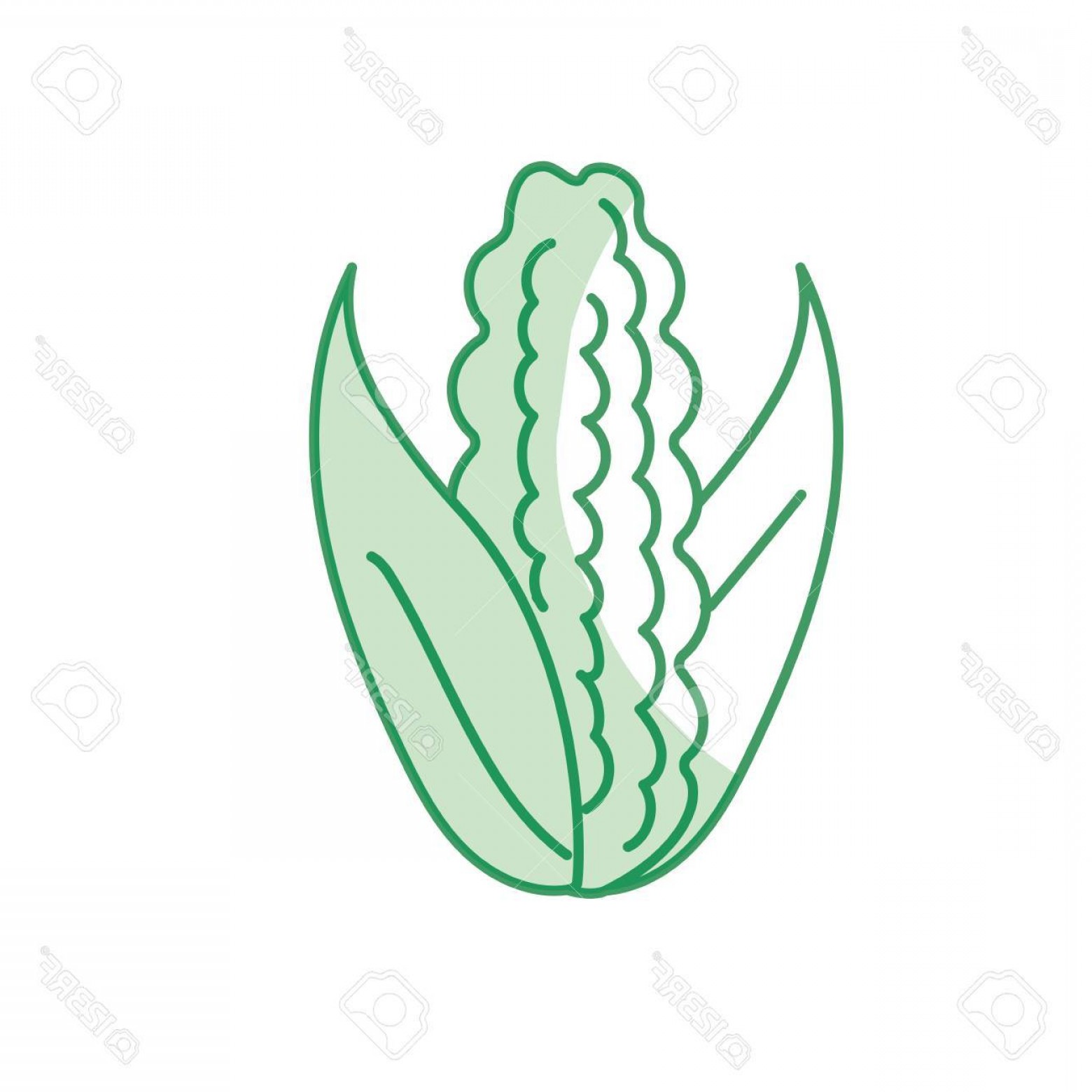 1560x1560 Cob Corn Silhouette Vector Hoodamathrun